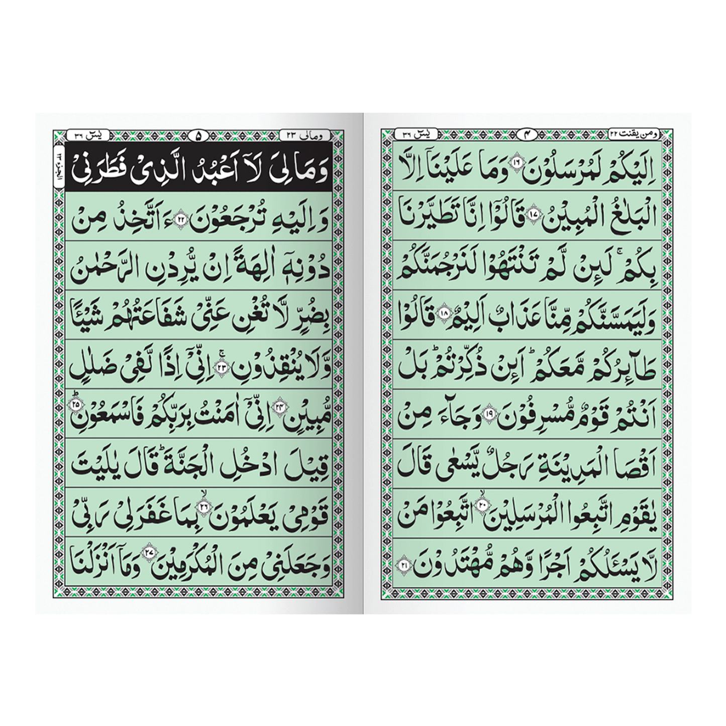 IK210/K Surah Yaseen in Big Letters (Without Translation)