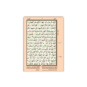 [227/4KZ] Al-Quran-Ul-Kareem In 15 Lines With Tajweed Rules (Without Translation)